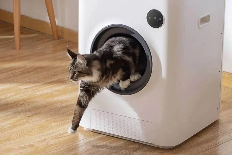 automated litter box